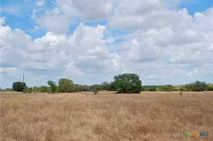 Tract 2 County Road 366, Shiner, TX 77984 - Photo 9