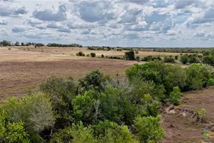 Tract 2 County Road 366, Shiner, TX 77984 - Photo 15