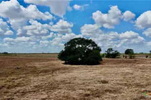 Tract 2 County Road 366, Shiner, TX 77984 - Photo 17
