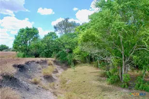 Tract 3 County Road 366, Shiner, TX 77984 - Photo 19