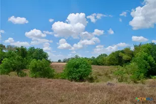 Tract 3 County Road 366, Shiner, TX 77984 - Photo 21