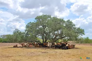 Tract 3 County Road 366, Shiner, TX 77984 - Photo 29
