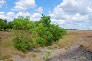 Tract 3 County Road 366, Shiner, TX 77984 - Photo 23