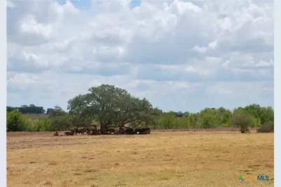 Tract 3 County Road 366, Shiner, TX 77984 - Photo 3