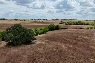 Tract 4 County Road 366, Shiner, TX 77984 - Photo 7