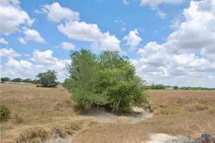 Tract 4 County Road 366, Shiner, TX 77984 - Photo 11