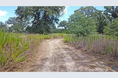 1501 Kothmann Drive, Seguin, TX 78155 - Photo 31