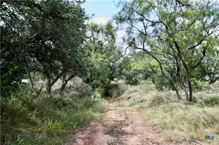 1345 Pr 5001, Richland Springs, TX 76871 - Photo 19