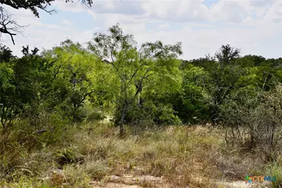 1345 Pr 5001, Richland Springs, TX 76871 - Photo 13