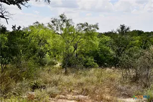 1345 Pr 5001, Richland Springs, TX 76871 - Photo 13