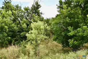1345 Pr 5001, Richland Springs, TX 76871 - Photo 23