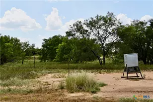 1345 Pr 5001, Richland Springs, TX 76871 - Photo 25