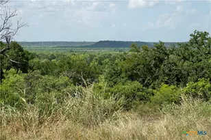 1345 Pr 5001, Richland Springs, TX 76871 - Photo 27