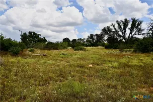 1345 Pr 5001, Richland Springs, TX 76871 - Photo 15