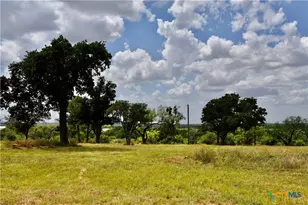 1345 Pr 5001, Richland Springs, TX 76871 - Photo 5