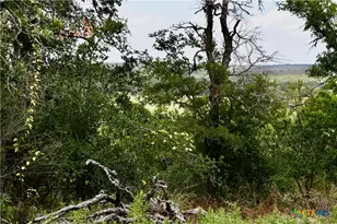 1345 Pr 5001, Richland Springs, TX 76871 - Photo 13