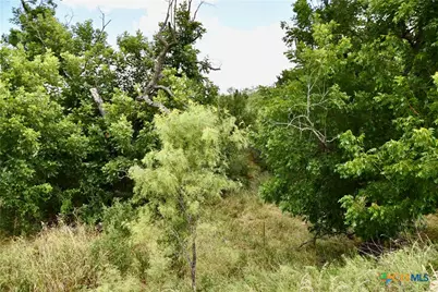 1345 Pr 5001, Richland Springs, TX 76871 - Photo 23