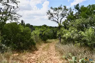 1345 Pr 5001, Richland Springs, TX 76871 - Photo 17