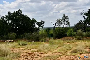 1345 Pr 5001, Richland Springs, TX 76871 - Photo 11