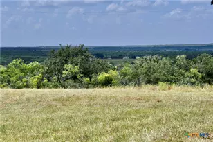 1345 Pr 5001, Richland Springs, TX 76871 - Photo 7