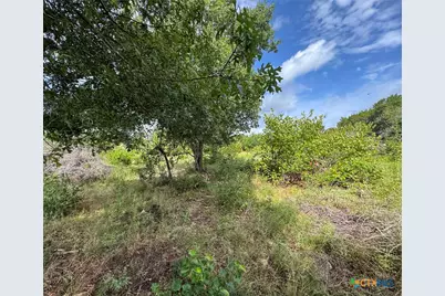 2300 County Road 147, Gatesville, TX 76528 - Photo 37