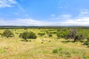 6878 Ranch Rd 3347, Round Mountain, TX 78663 - Photo 5