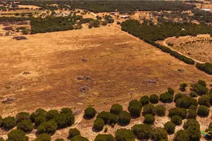 00 County Road 2644, Lometa, TX 76853 - Photo 9