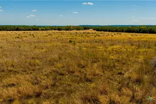 00 County Road 2644, Lometa, TX 76853 - Photo 5