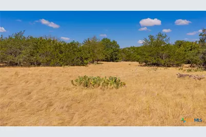 00 County Road 2644, Lometa, TX 76853 - Photo 3
