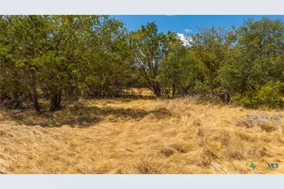 00 County Road 2644, Lometa, TX 76853 - Photo 7