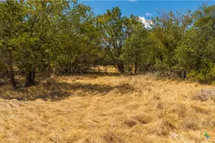 00 County Road 2644, Lometa, TX 76853 - Photo 7