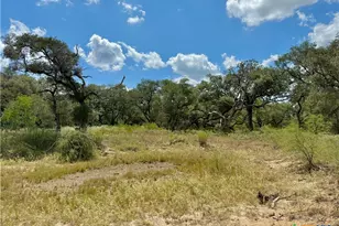 4668 Old Hwy Rd, Inez, TX 77968 - Photo 15