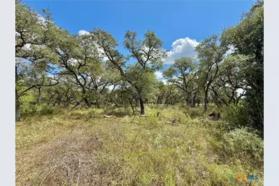 4668 Old Hwy Rd, Inez, TX 77968 - Photo 11