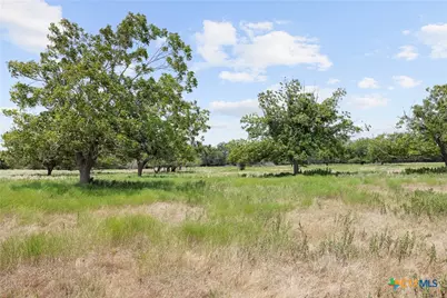 Tract 5 Fm 3158, Dale, TX 78616 - Photo 9