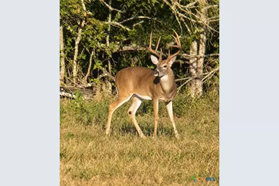 1320 Cr 388, Waelder, TX 78959 - Photo 29
