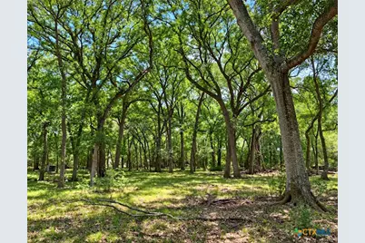 1320 Cr 388, Waelder, TX 78959 - Photo 35