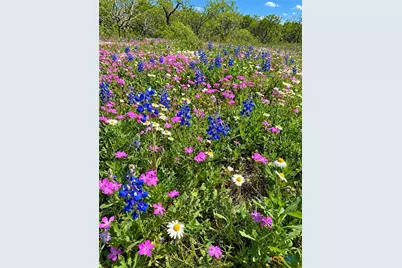 1320 Cr 388, Waelder, TX 78959 - Photo 31