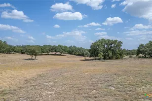 169 Blackbuck Rdg Dr, Lampasas, TX 76550 - Photo 27
