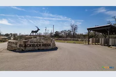 169 Blackbuck Ridge Drive, Lampasas, TX 76550 - Photo 37
