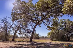 0000 County Road 284, Edna, TX 77964 - Photo 9