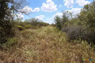 Tbd Parsons Rd, Victoria, TX 77904 - Photo 23