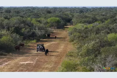 251 Old Goliad Road, Refugio, TX 78377 - Photo 37