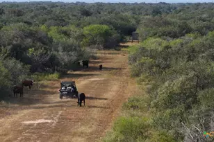 251 Old Goliad Rd, Refugio, TX 78377 - Photo 37
