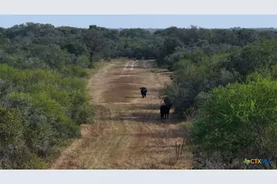251 Old Goliad Road, Refugio, TX 78377 - Photo 13