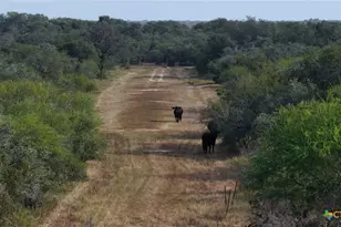 251 Old Goliad Rd, Refugio, TX 78377 - Photo 13