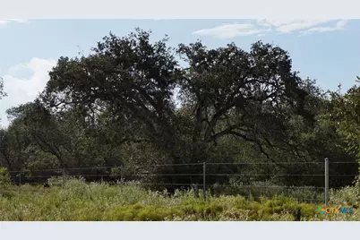 251 Old Goliad Road, Refugio, TX 78377 - Photo 7