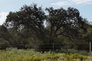 251 Old Goliad Rd, Refugio, TX 78377 - Photo 7