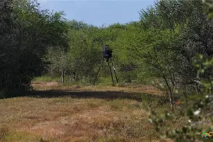 251 Old Goliad Rd, Refugio, TX 78377 - Photo 17