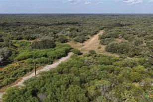 251 Old Goliad Rd, Refugio, TX 78377 - Photo 29