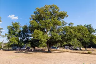 730 Cr 430, San Saba, TX 76877 - Photo 23